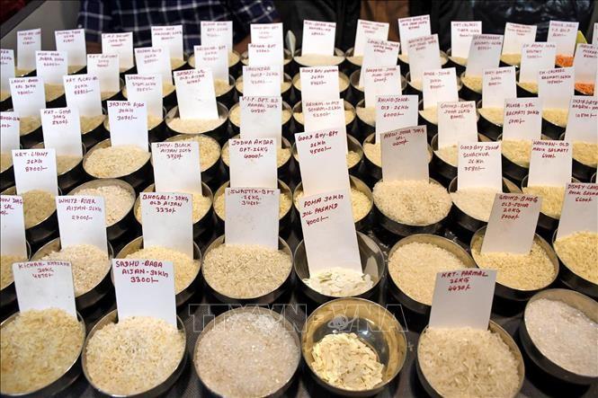 FAO: Giá lương thực thế giới giảm trở lại trong tháng 5/2025