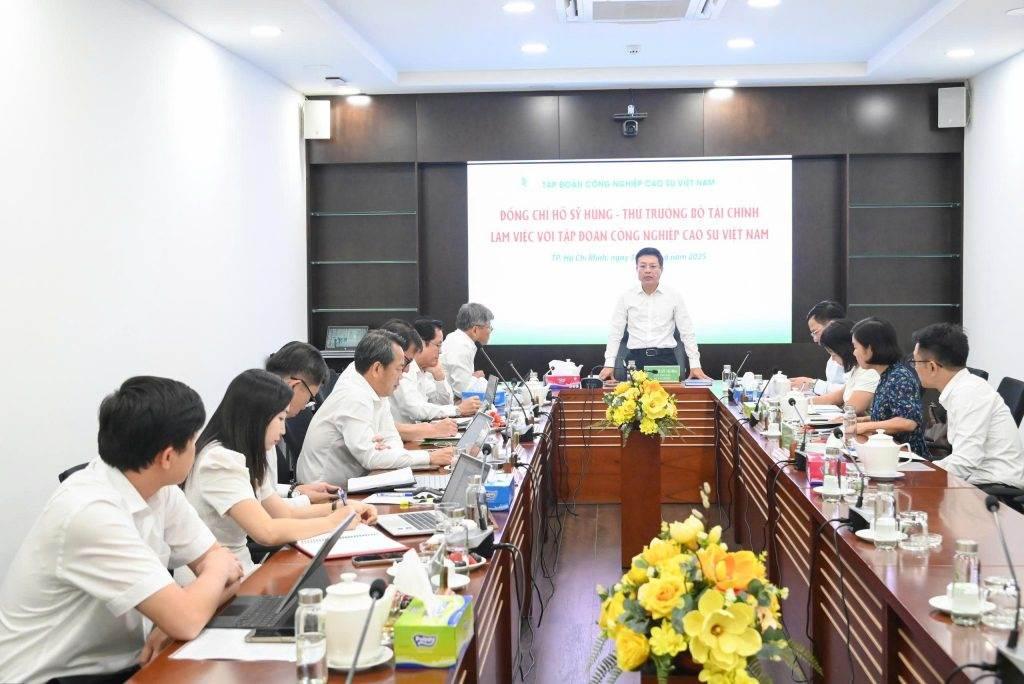 GVR: Lãnh đạo Bộ Tài chính làm việc với GVR