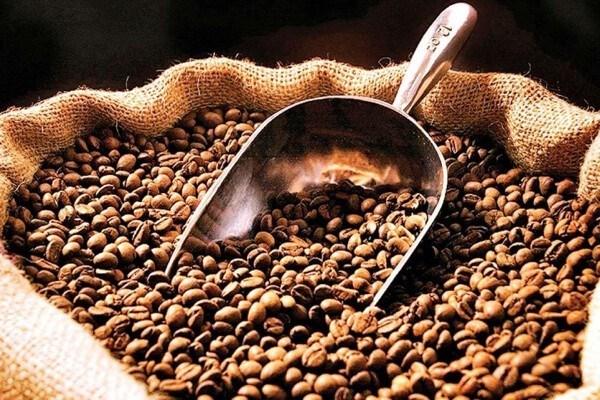 Giá cà phê Mỹ có thể tăng thêm 20% vì thuế nhập khẩu