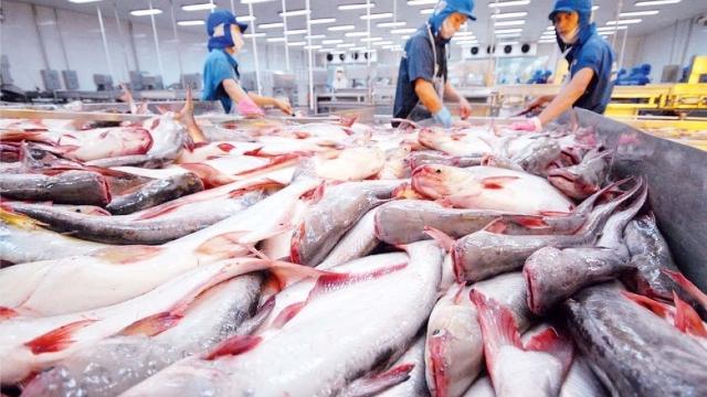Chính sách 'thông thoáng' của EU chỉ mở ra cơ hội cho hàng hóa Việt Nam trong ngắn hạn