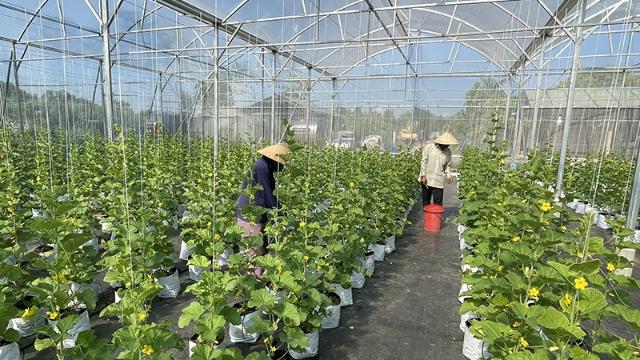 Quy mô gói tín dụng nông, lâm, thuỷ sản điều chỉnh lên mức 185.000 tỷ đồng