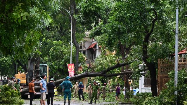 Đền bù, bồi thường khi cây xanh gãy, đổ làm thiệt hại về người hoặc tài sản