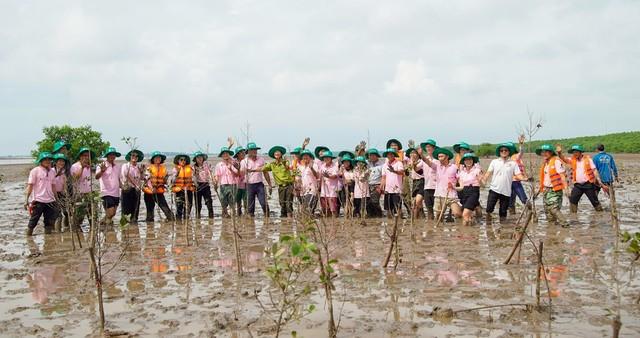 C.P. Việt Nam trồng mới 5ha rừng ngập mặn tại Vĩnh Long, mở rộng 'Hành trình vì một Việt Nam xanh'