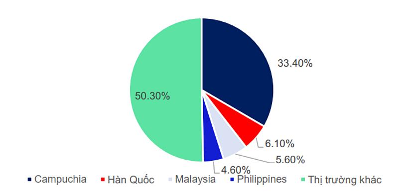 'Gieo hạt' trong ổn định, ngành phân bón kỳ vọng 'mùa vàng' 2026