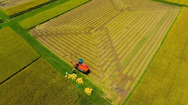 Giải quyết bài toán đất nông nghiệp Đồng bằng sông Cửu Long trước áp lực kinh tế và "cú sốc" khí hậu