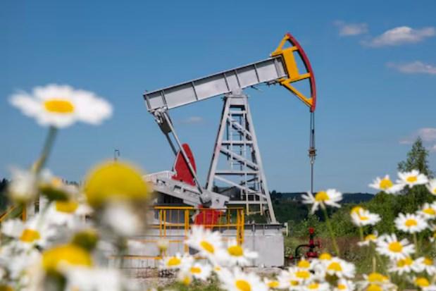 Giá xăng dầu hôm nay 19/1: Giảm sáng đầu tuần