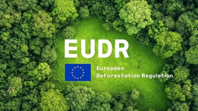 Các mặt hàng nông-lâm sản xuất khẩu chủ lực của Việt Nam trước áp lực tiêu chuẩn chống phá rừng của EU