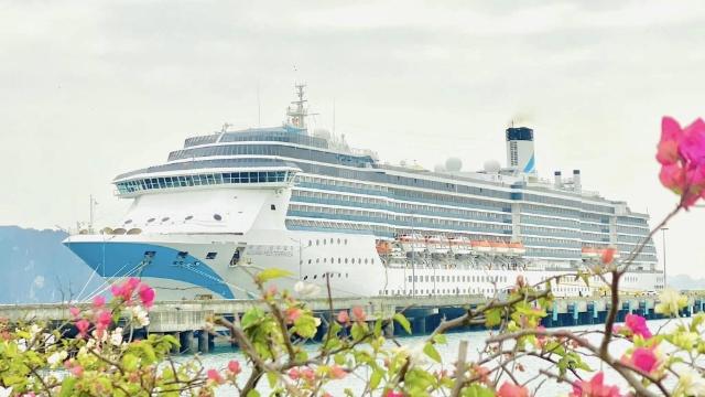 Nhộn nhịp tàu thuyền du xuân trên vịnh Hạ Long