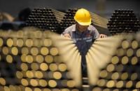 Hoa Sen trở lại với bất động sản