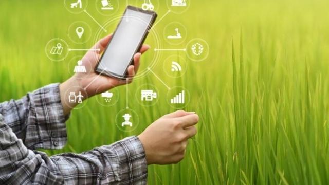 Thúc đẩy ứng dụng Blockchain và AI trong minh bạch và nâng cao giá trị nông sản