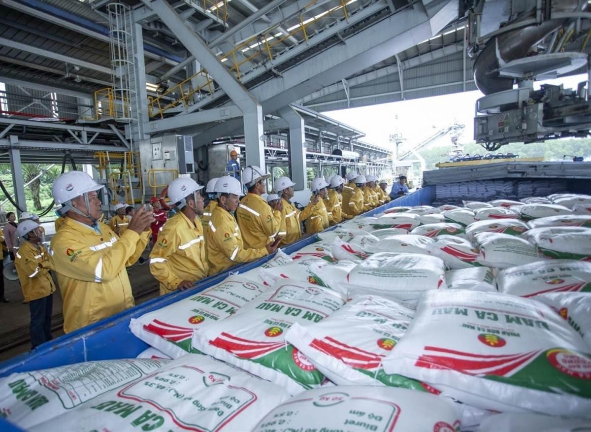 DCM: Xuất khẩu tăng mạnh, DCM vẫn thận trọng với mục tiêu kinh doanh