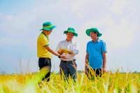 Phân bón Dầu khí Cà Mau (DCM) đặt kế hoạch lợi nhuận sau thuế 1.200 tỷ đồng, cổ tức 10% trong 2026