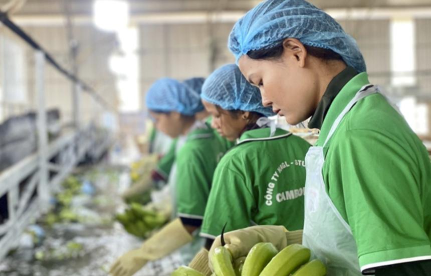 Hoàng Anh Gia Lai (HAGL) đặt mục tiêu lãi sau thuế 4.200 tỷ đồng và trả cổ tức tiền mặt 5%