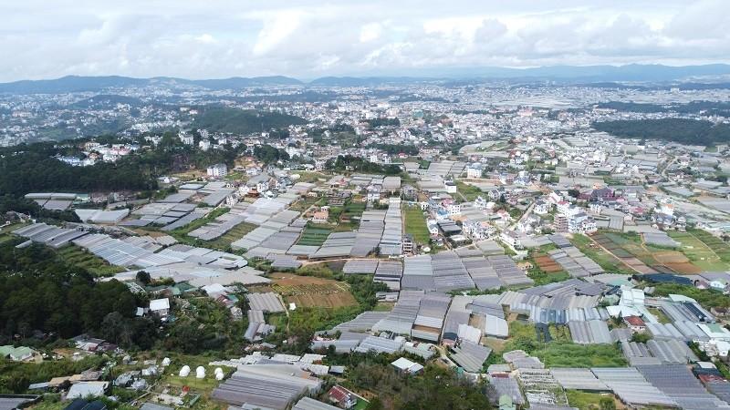 Lâm Đồng xây dựng Nghị quyết về chính sách hỗ trợ đầu tư