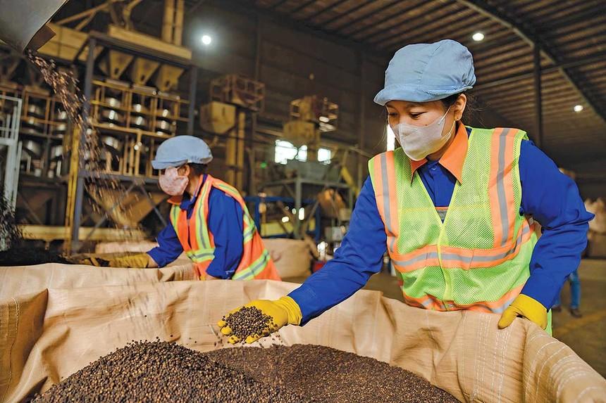 Doanh nghiệp xoay xở trước áp lực chi phí leo thang