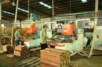 Phú Tài (PTB) báo lãi trước thuế quý I/2026 tăng trưởng 30% so với cùng kỳ