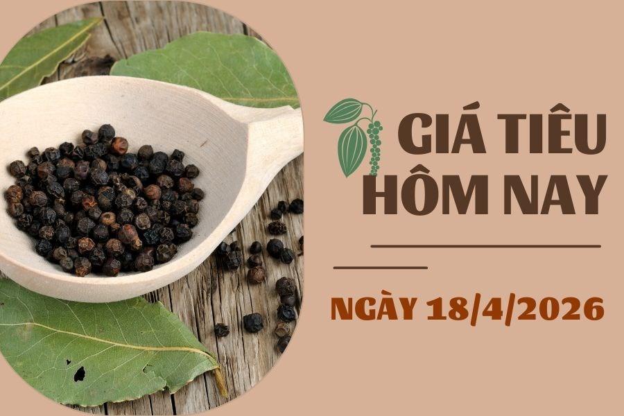 Giá tiêu hôm nay 18/4: Tiêu Indonesia giảm 5 ngày liên tiếp, Việt Nam vững giá