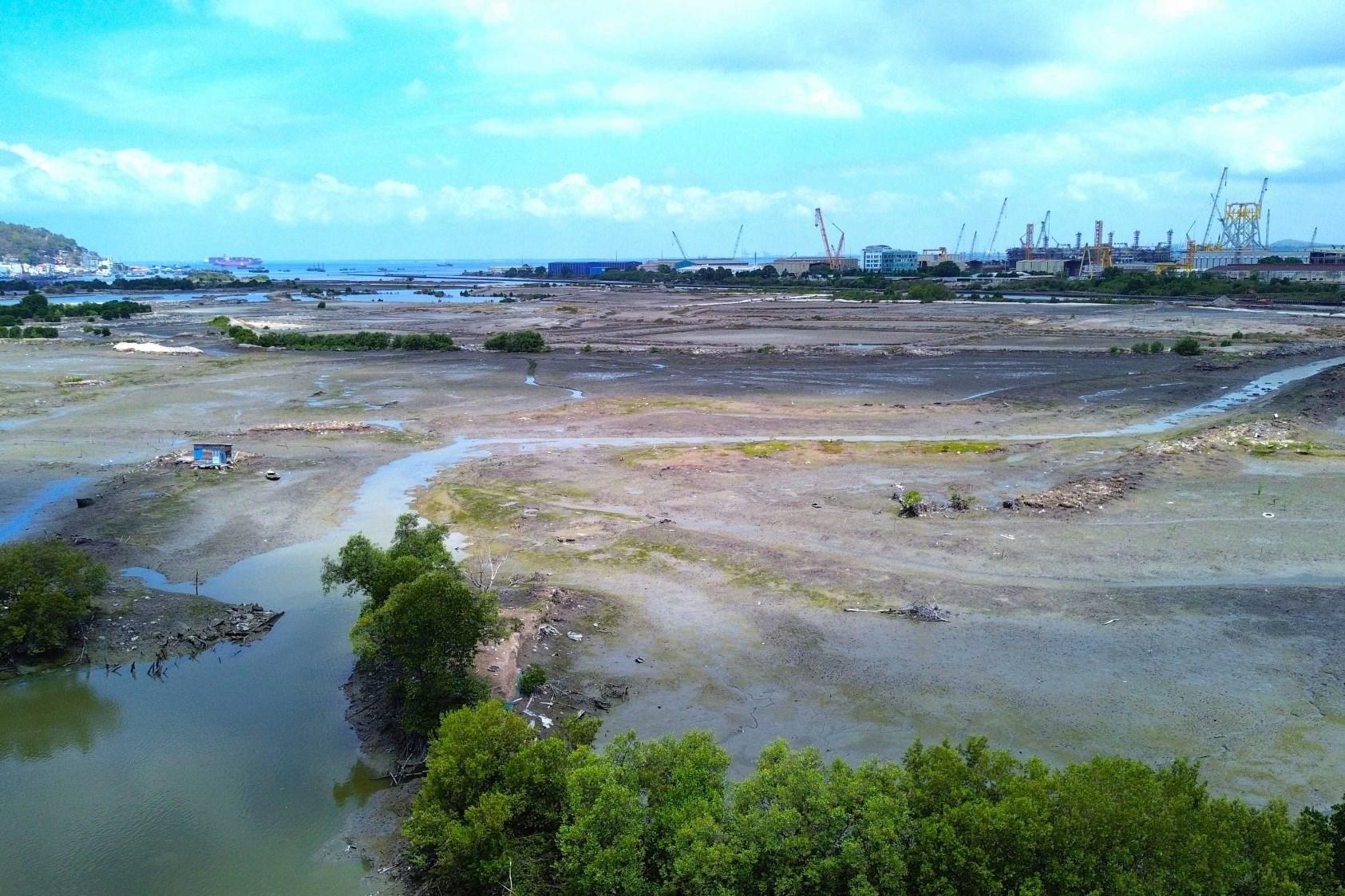 [Photostory] Khu vực quy hoạch dự án hơn 26.000 tỷ tại Cù lao Bến Đình, TP HCM