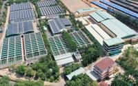 BIWASE (BWE) nâng cấp 8 chi nhánh lên 4 công ty con