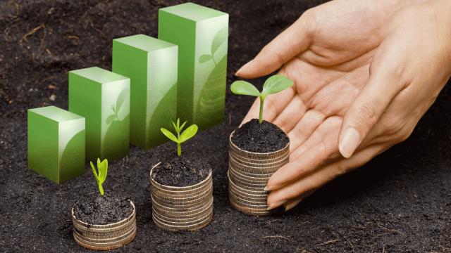 Năng lượng xanh và nông, lâm nghiệp chiếm 90% dư nợ tín dụng xanh