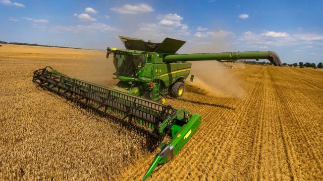 Bế tắc ở eo biển Hormuz có thể gây cú sốc lương thực toàn cầu