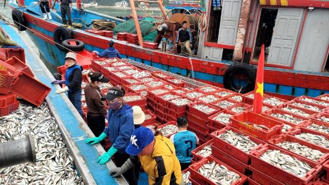 Dòng vốn quốc tế thúc đẩy tái cấu trúc ngành thủy sản Nghệ An