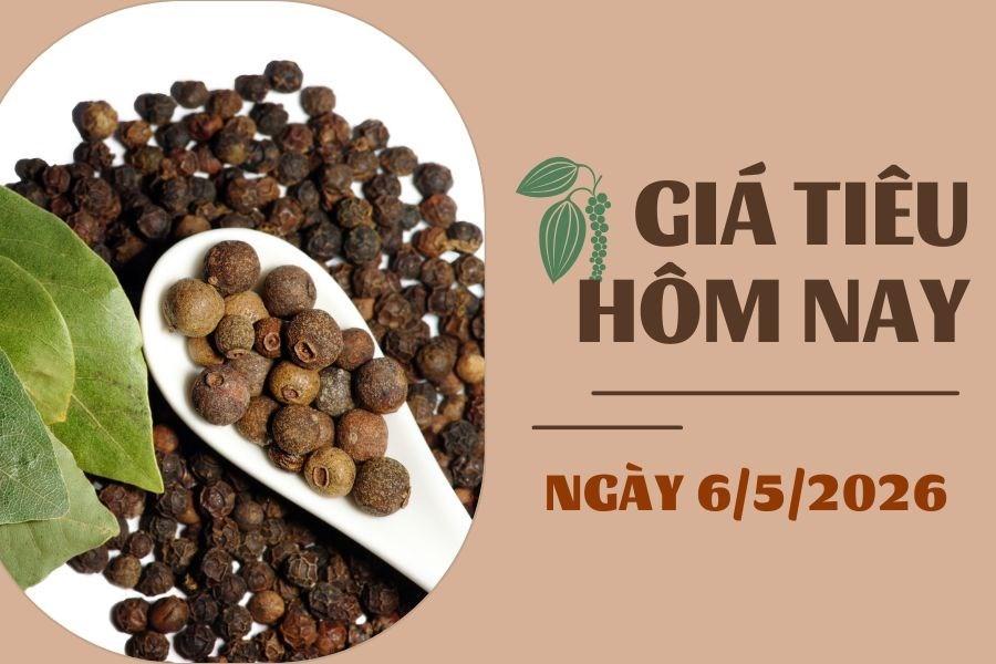 Giá tiêu hôm nay 6/5: Indonesia điều chỉnh giảm, Việt Nam giữ ổn định