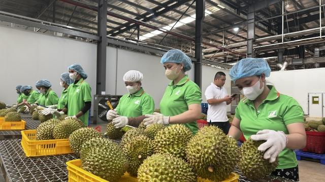 Nông sản Việt cần thích ứng với Nghị định 280 của Trung Quốc và quy định RCEP mới