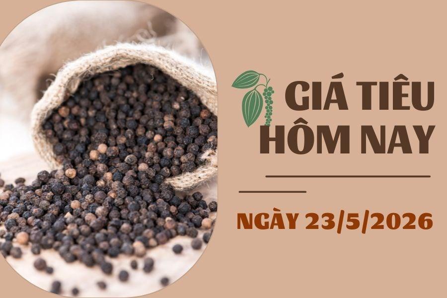 Giá tiêu hôm nay 23/5: Diễn biến trái chiều trên thị trường thế giới