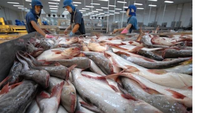 VietAgros 2026: Thúc đẩy chuyển đổi xanh và số hóa ngành thủy sản