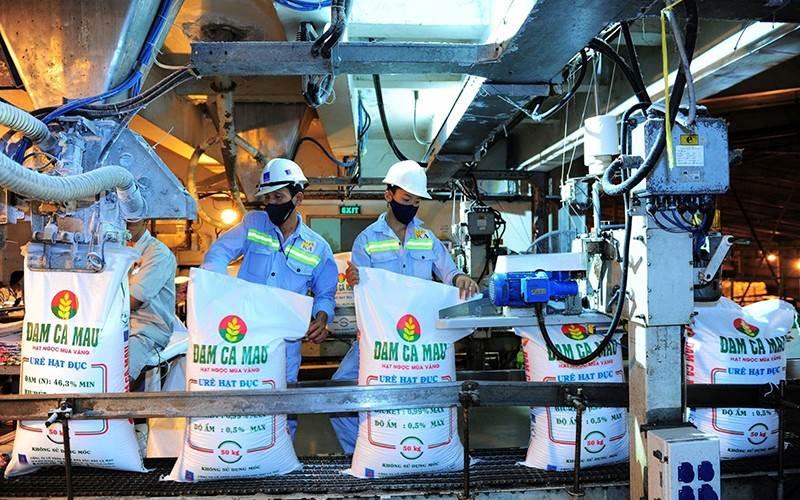 DCM: Phân bón Cà Mau vượt 16% kế hoạch xuất khẩu ure năm 2026