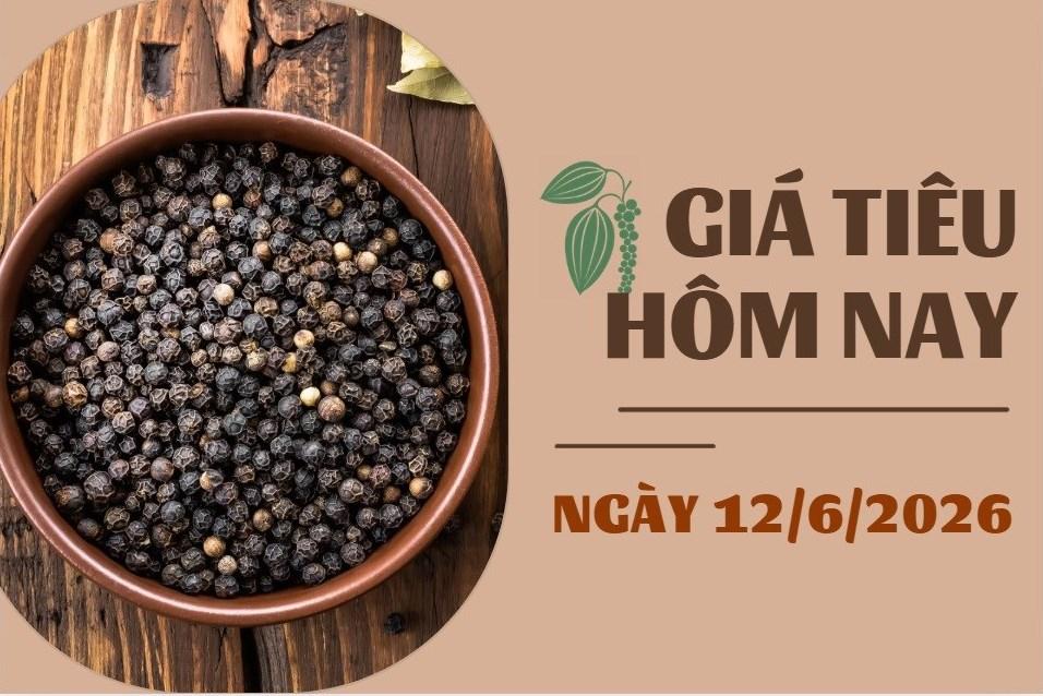 Giá tiêu hôm nay 12/6: Thị trường lặng sóng, Việt Nam vẫn là khách hàng nhập khẩu tiêu lớn nhất của Indonesia