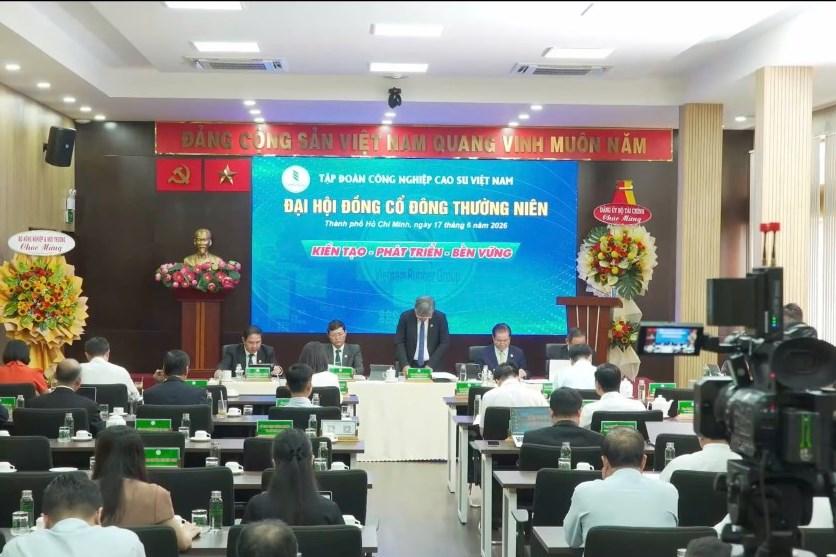 ĐHĐCĐ GVR: Lợi nhuận 5 tháng tăng hơn 30%, dự báo có thể thiếu hụt 2 triệu tấn cao su tới 2030