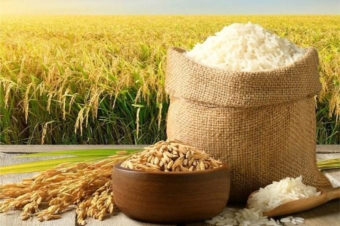 Giá lúa gạo hôm nay 17/6: Gạo xuất khẩu tăng nhẹ sau khi xung đột tại Trung Đông hạ nhiệt