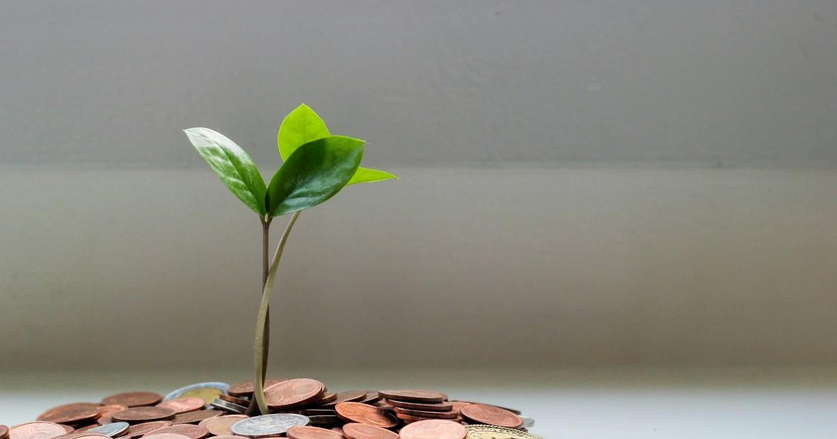 Đánh thức tiềm năng tài chính bán lẻ xanh ở Việt Nam