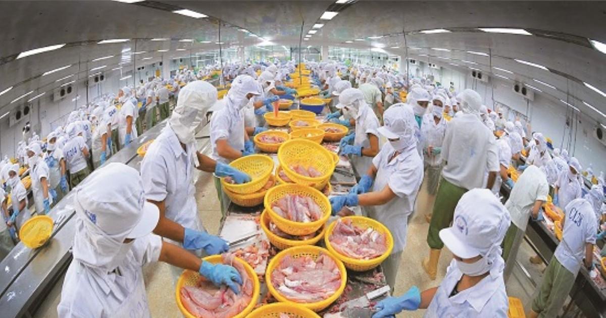 Xuất khẩu thủy sản nửa đầu năm tăng trưởng 2 con số