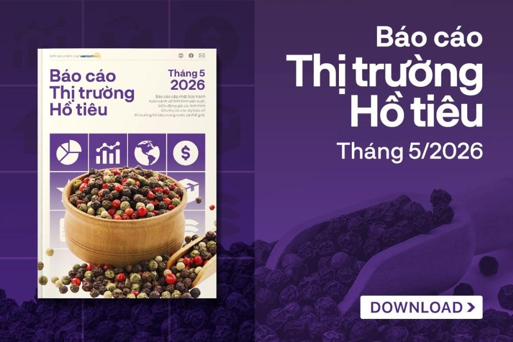 [Báo cáo] Thị trường hồ tiêu tháng 5/2026: Giá tiêu không tăng như kỳ vọng dù sản lượng sụt giảm